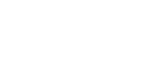 Privatelink Aviation logomark